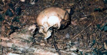 Ted Bundy's Issaquah Dumpsite