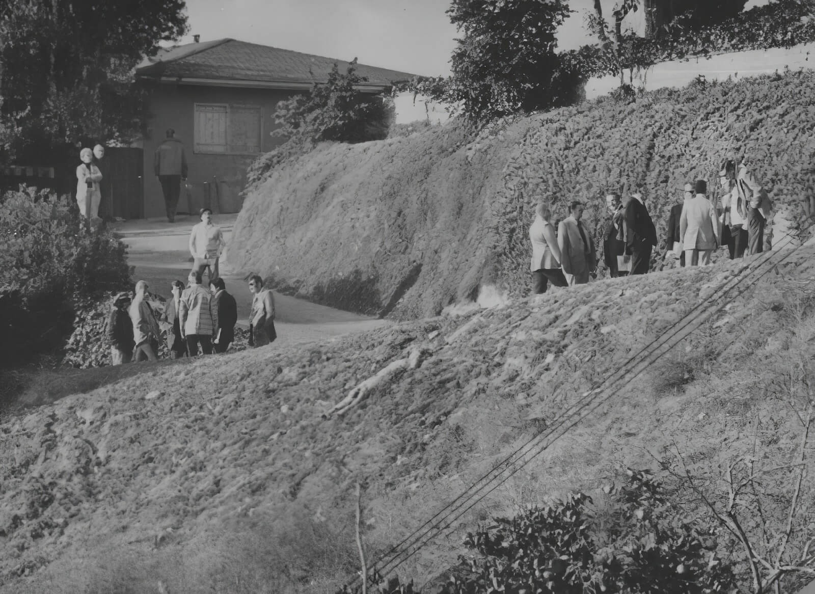 Hillside Strangler
